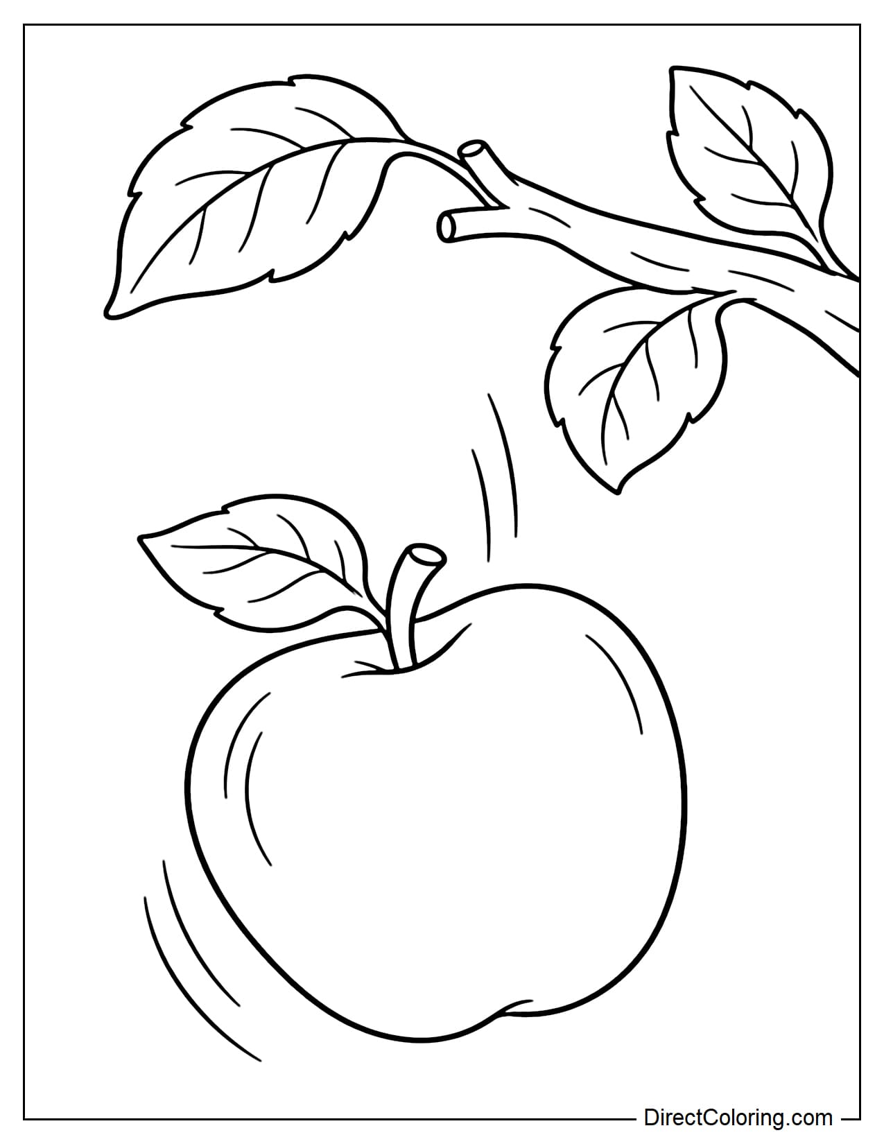 A large apple that has just fallen from a branch above and is dropping through the air.