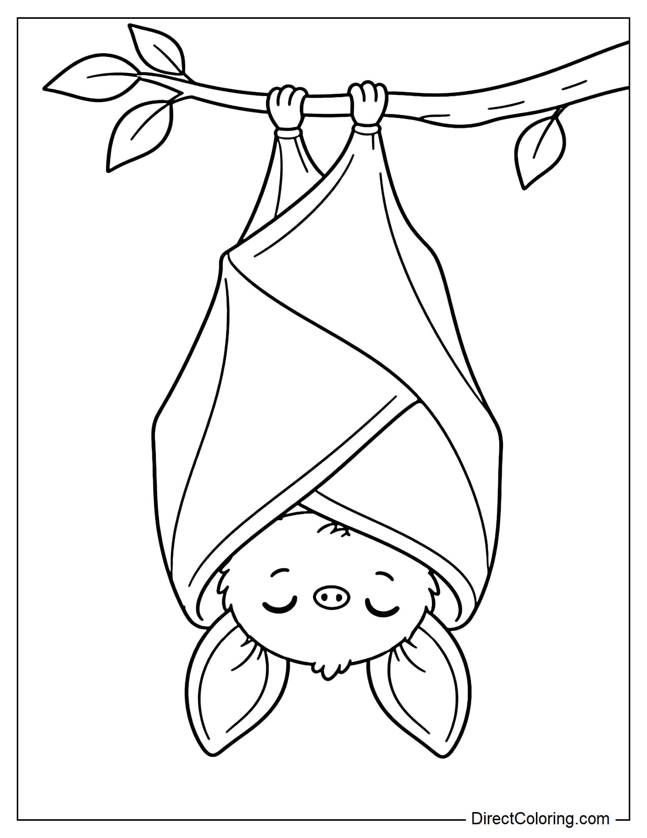 A little bat hangs upside down with its large wings wrapped around its body like a cozy blanket.
