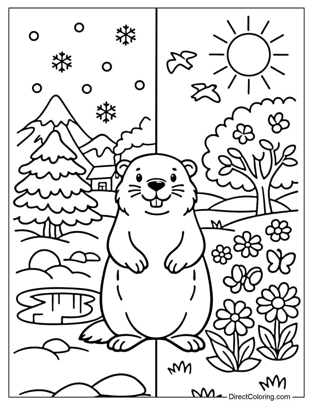 A coloring page of a groundhog standing in a composition dividing winter and spring, with snow on one side and flowers blooming on the other.