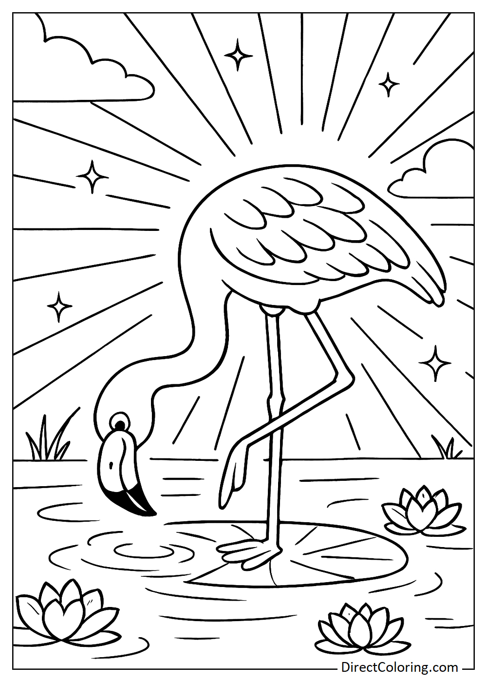 Flamingo drinking water from a small lake coloring page