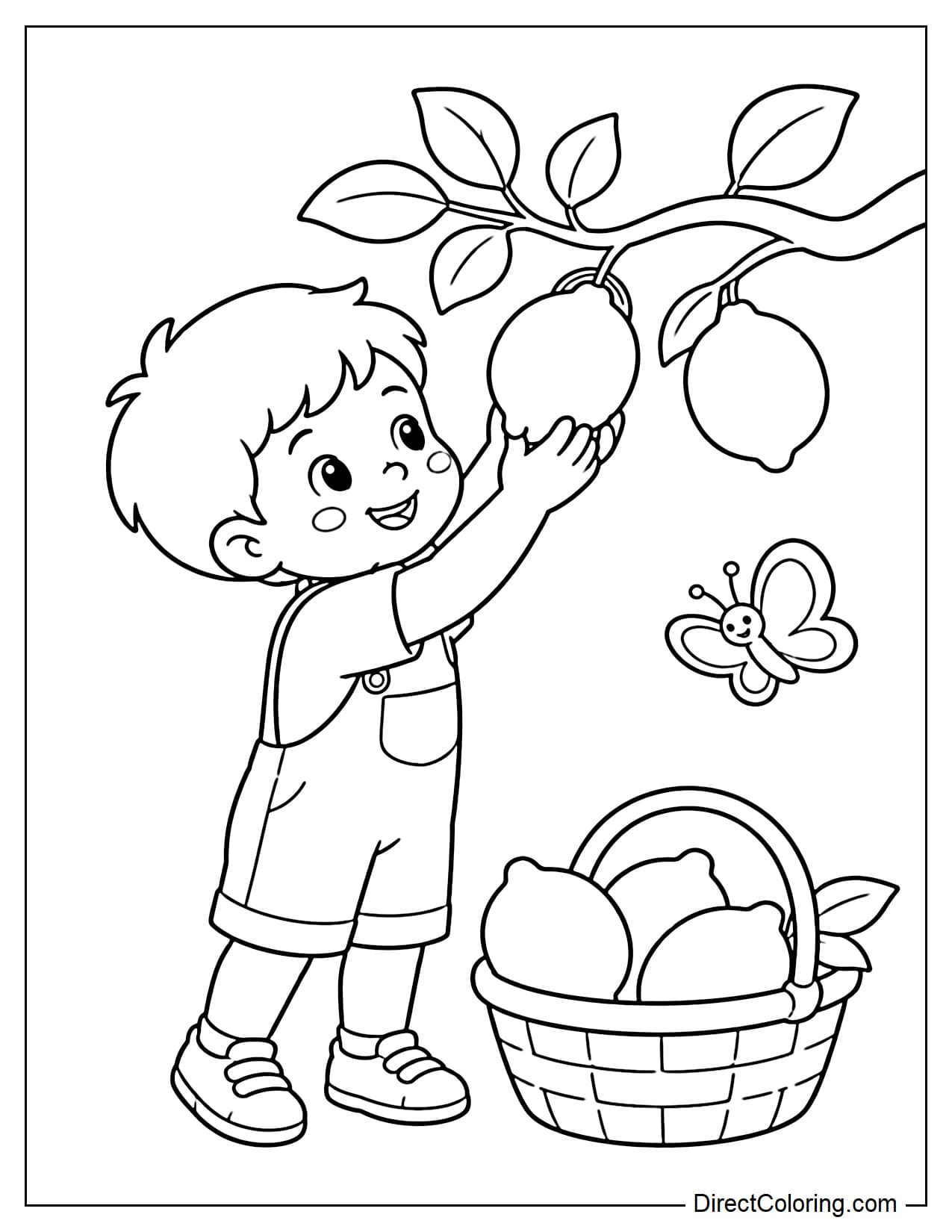A child gently picking lemons from a low branch, next to a basket of several large lemons and a butterfly flying by.