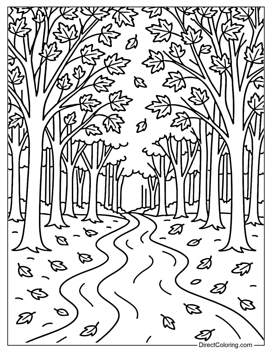 A trail coloring page through the forest, the canopy covered with autumn leaves, leaves falling along the path.