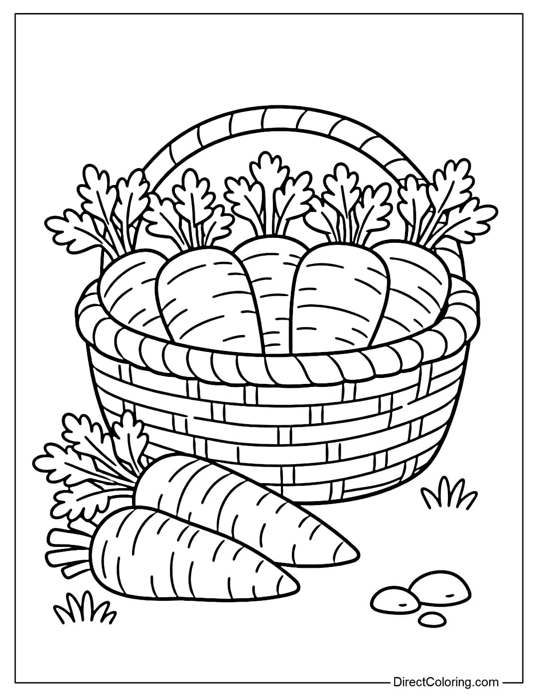 A basket of freshly harvested carrots with a few large carrots and simple leaves.
