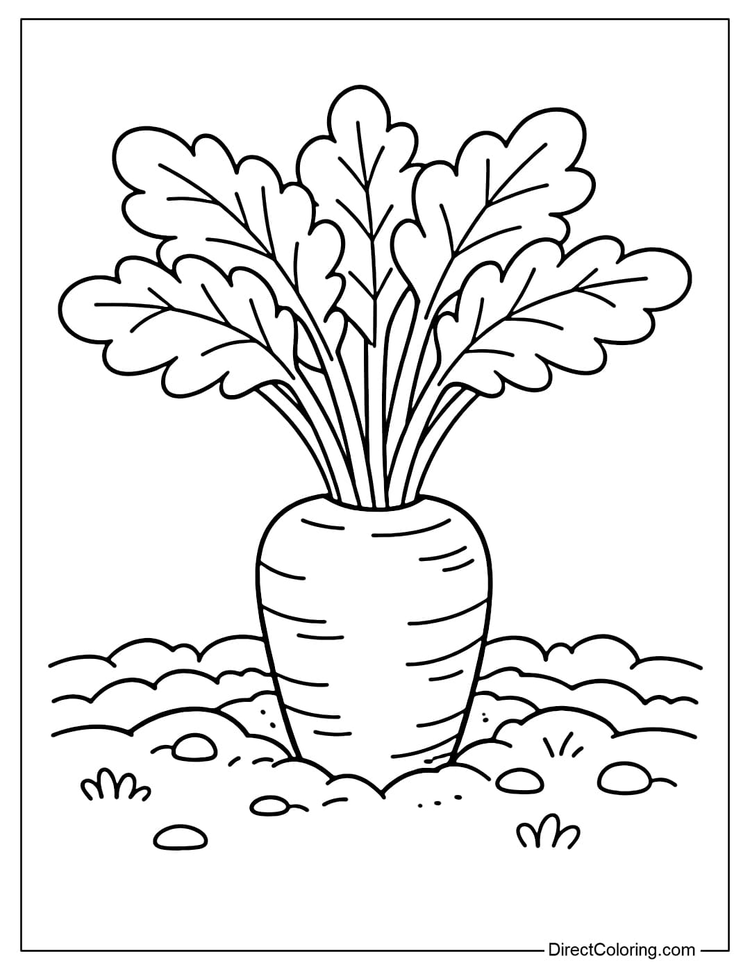 A growing carrot, with large leaves above and soil below, a simple arrangement.