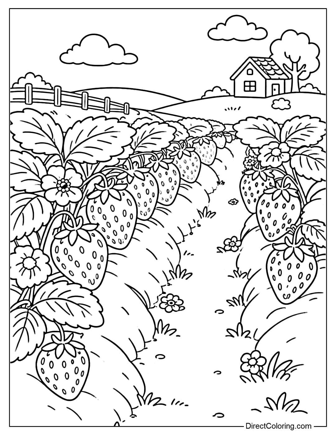 Coloring page of a wide strawberry field with many plants spread out.