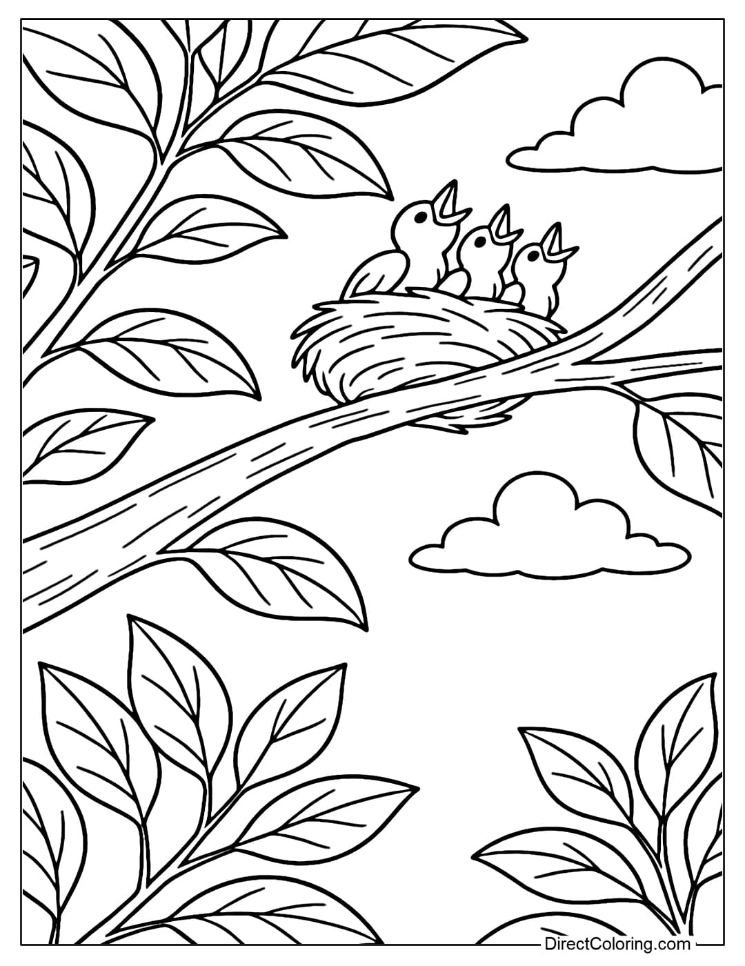 Coloring page looking up from the bottom of the bush, the branch near the eye is big and clear, on it is a small bird's nest with baby birds looking up waiting for food.