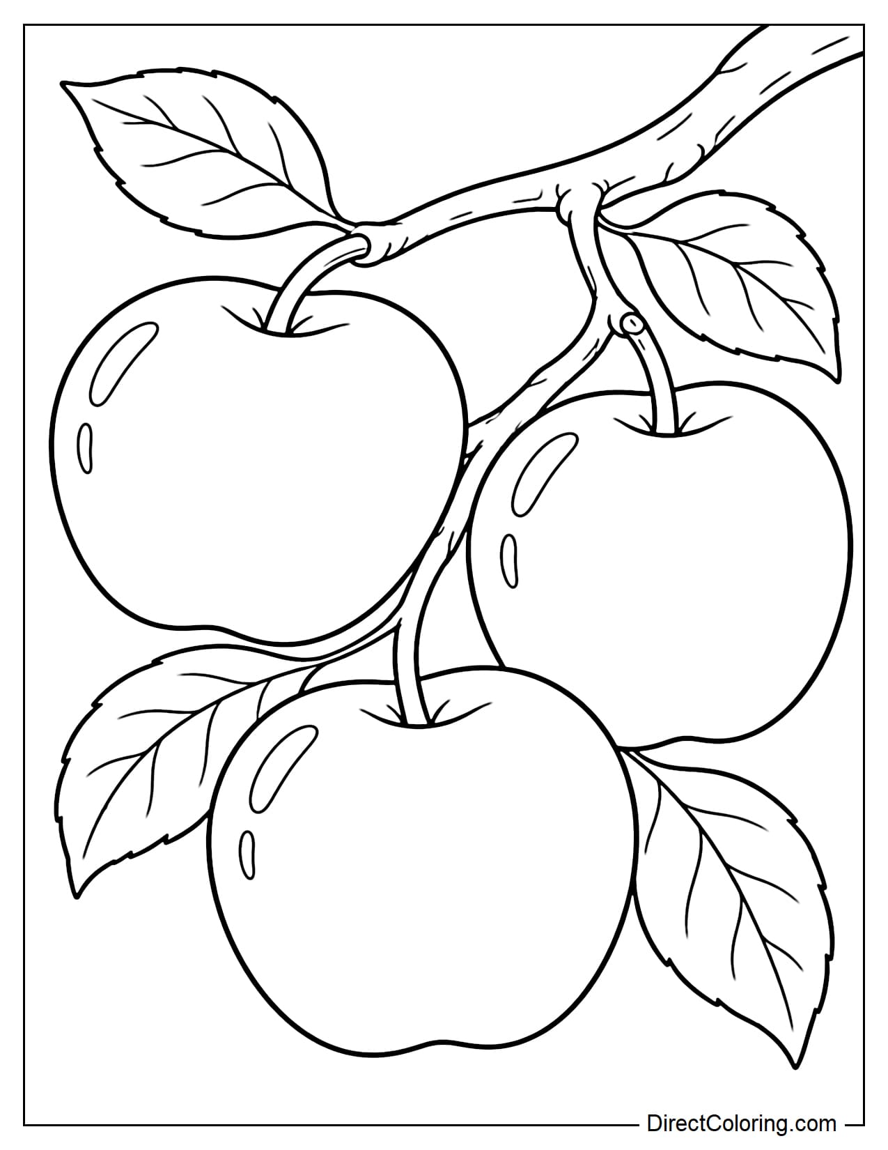 Three large apples hanging from a simple curved branch, each with a visible stem and surrounded by a few large leaves.
