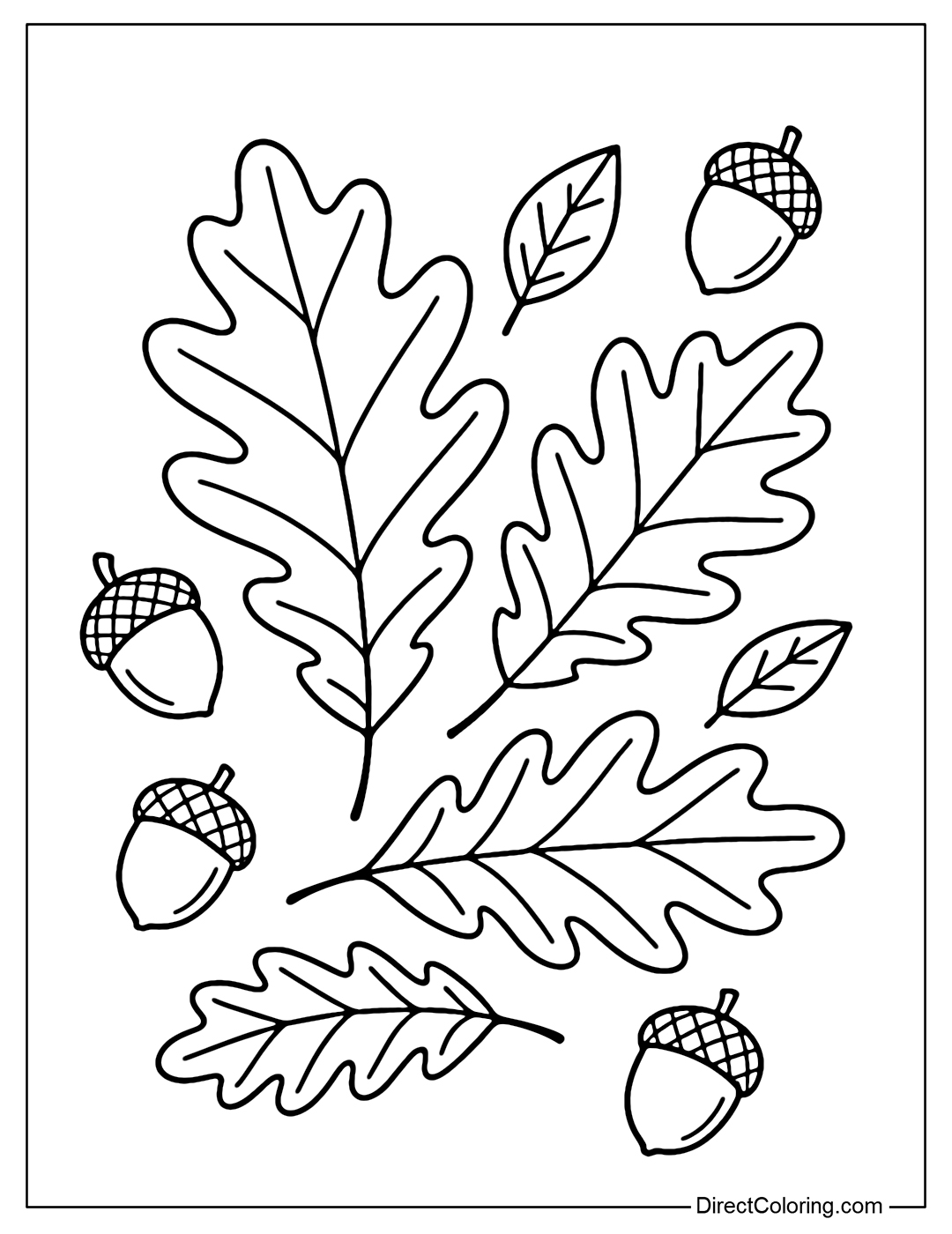 A coloring page of oak leaves with a few acorns falling next to it.