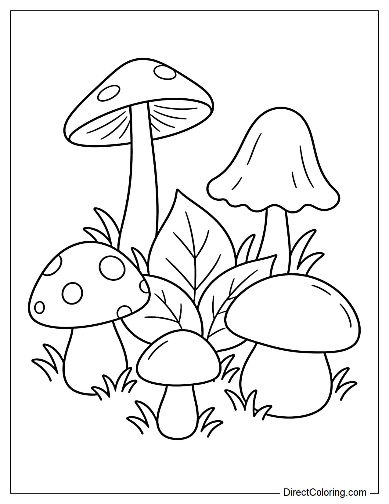 Five mushrooms growing close together in a circle, each with a different shape, including a tall long-stemmed mushroom, a short plump mushroom, a round-capped mushroom, a bell-shaped mushroom, and a tiny mushroom, with a few large leaves in the center.