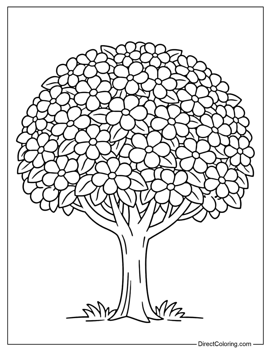 Coloring page of a large flowering tree with a round canopy, many dense clusters of flowers, with round or oval petals, clearly separated into clusters.