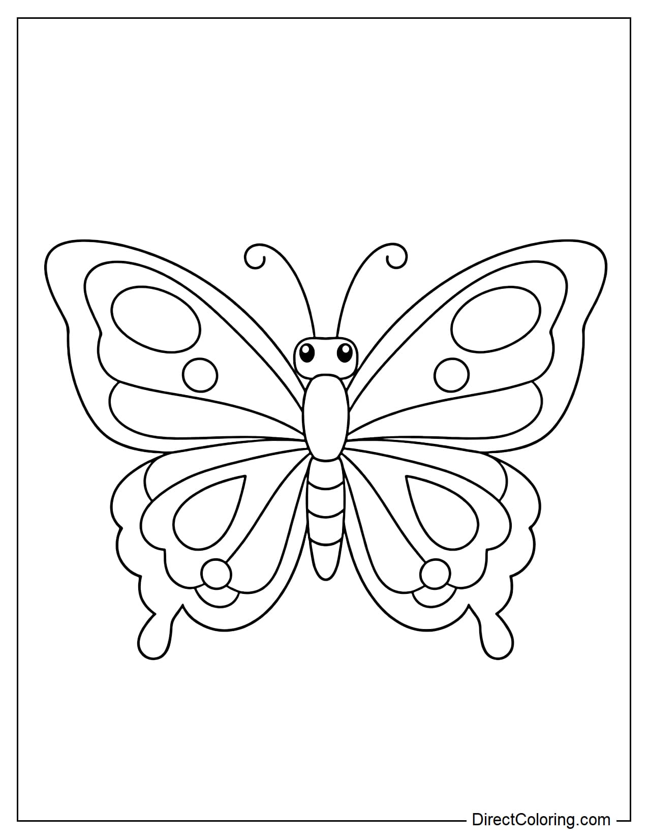 A butterfly with wings divided into many layers of undulating patterns.