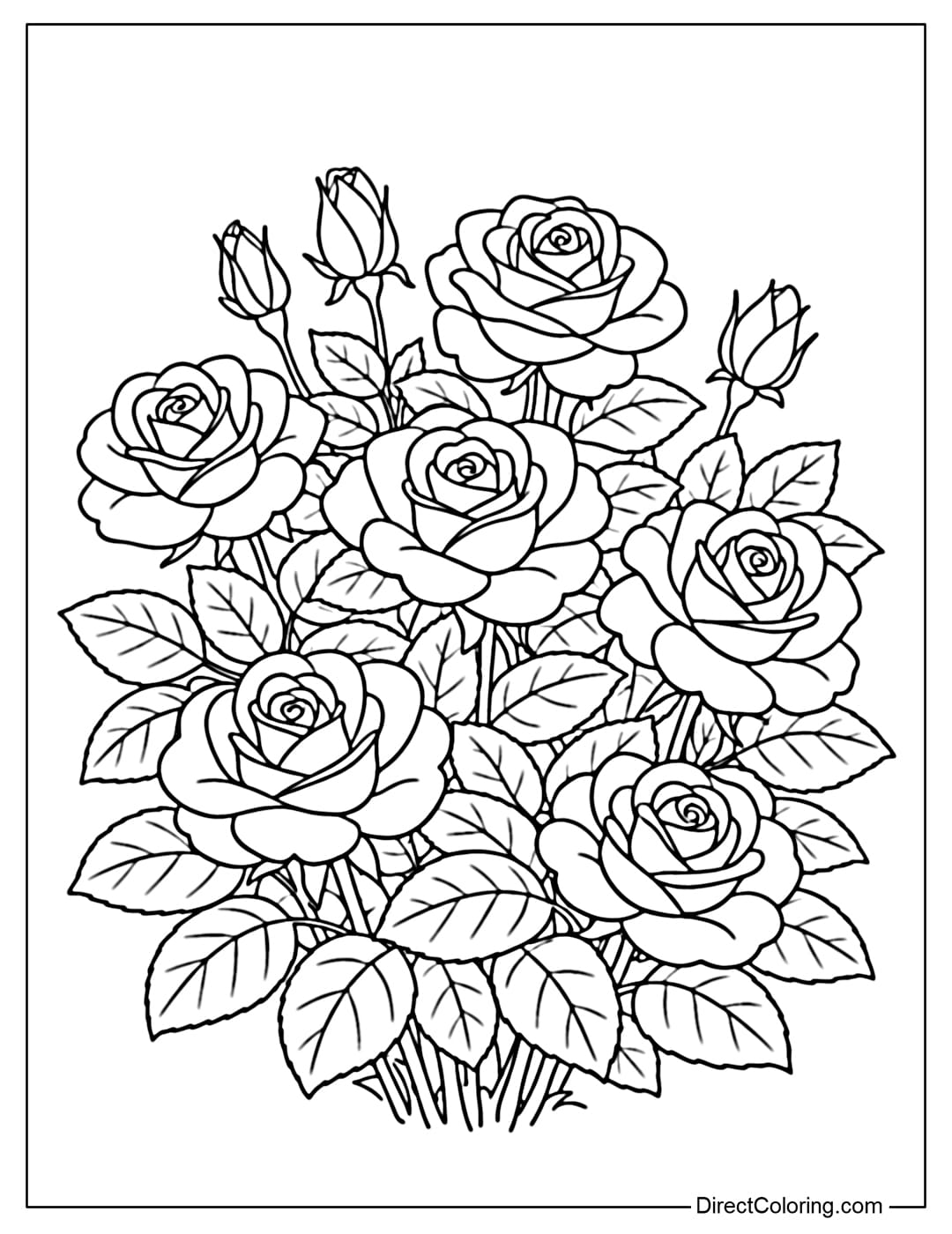 A coloring page of a rose bush with many blooms and buds, and large leaves.