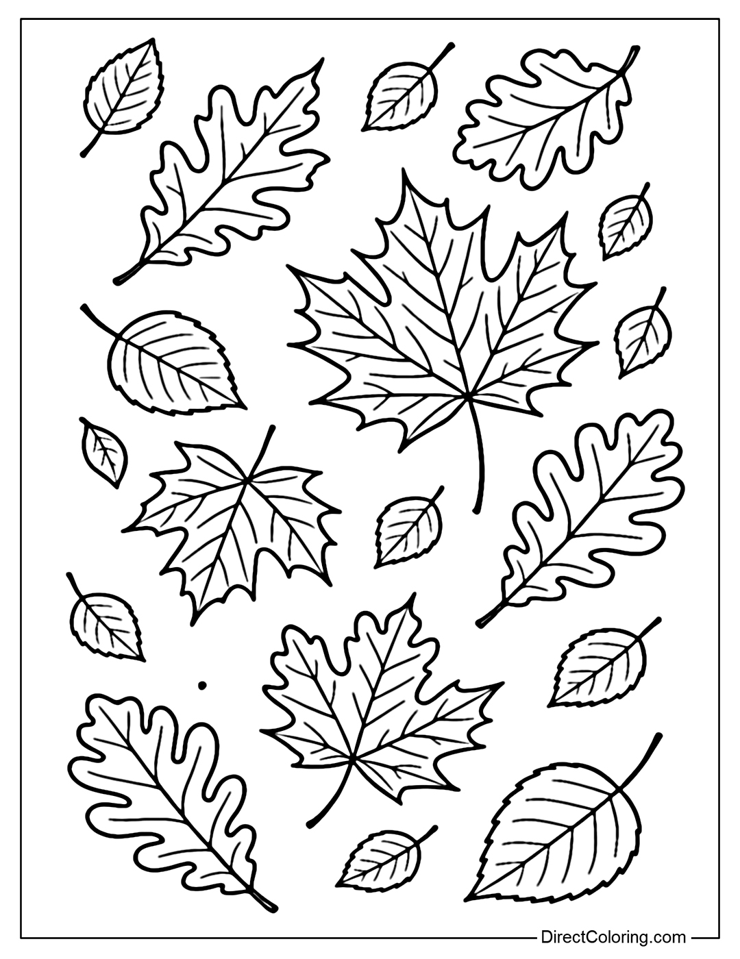 A coloring page of many maple, oak, and birch leaves flying in the wind.