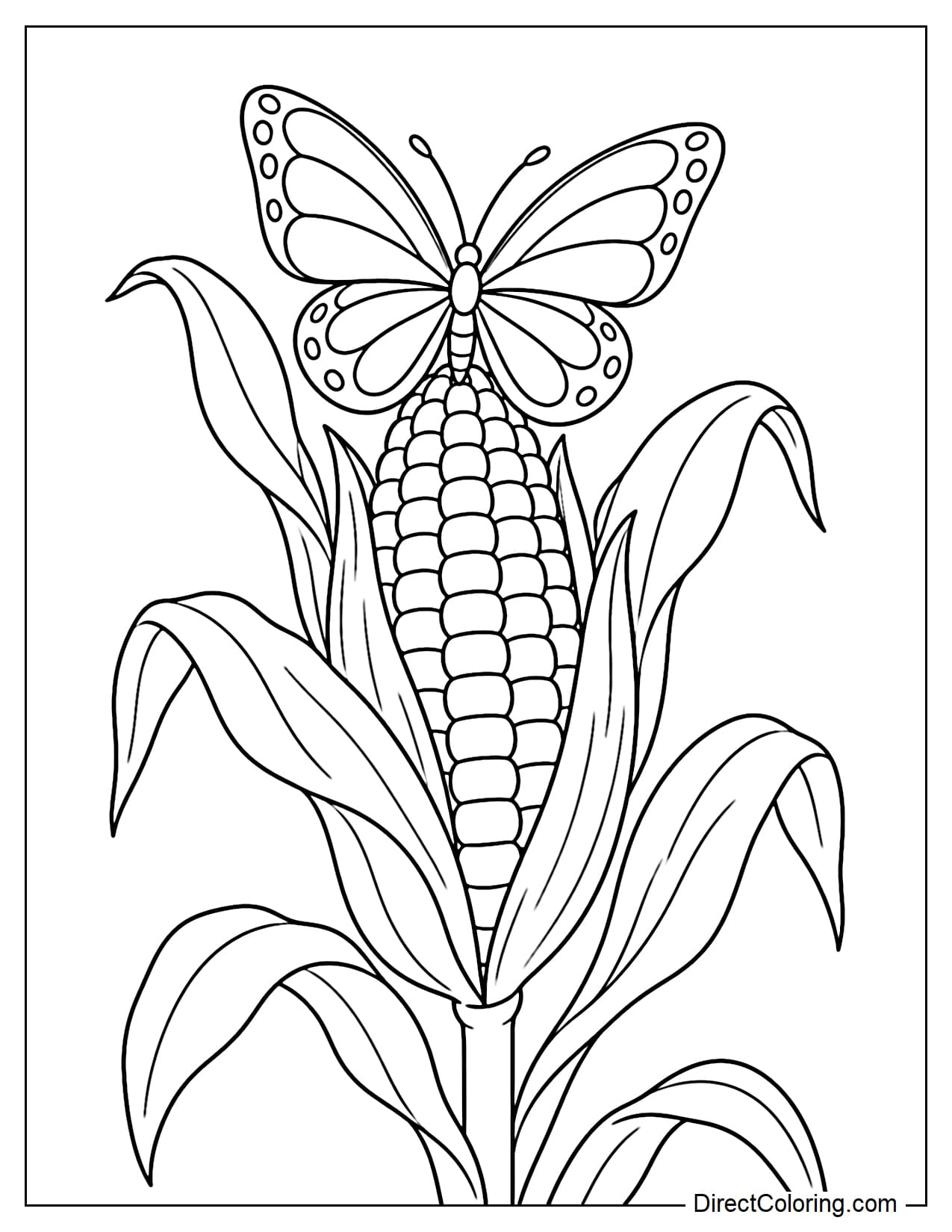 A large corn cob grows on the stalk with its husk slightly opened to reveal rows of large kernels, while a butterfly perches on the top of the cob.