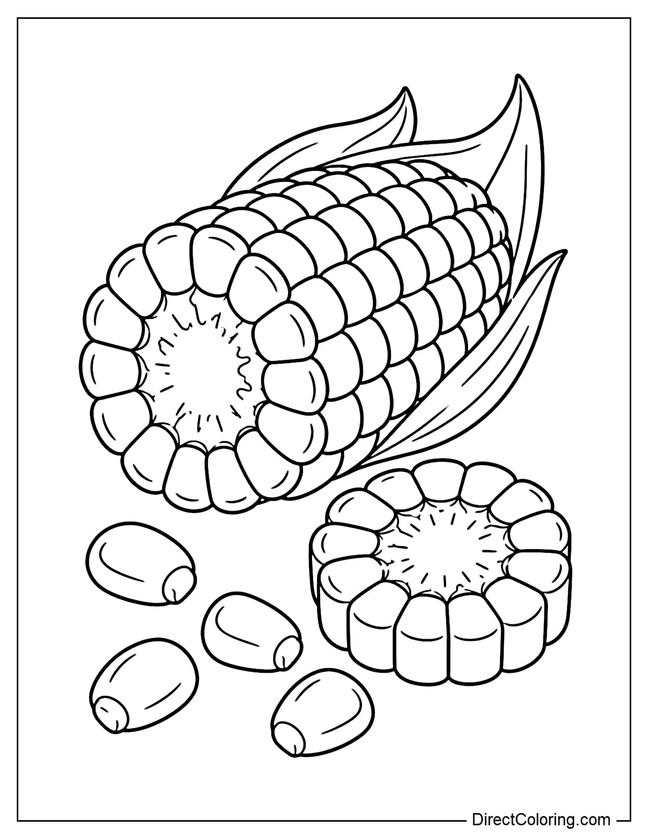 A large corn cob is cut crosswise into two pieces to clearly show the layer of kernels surrounding the inner core, with a round corn slice and a few large loose kernels beside it.