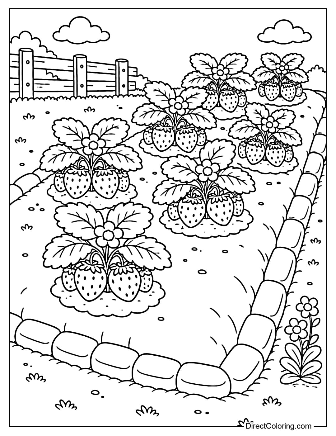 Coloring page of a strawberry bed with many evenly spaced plants in the garden.