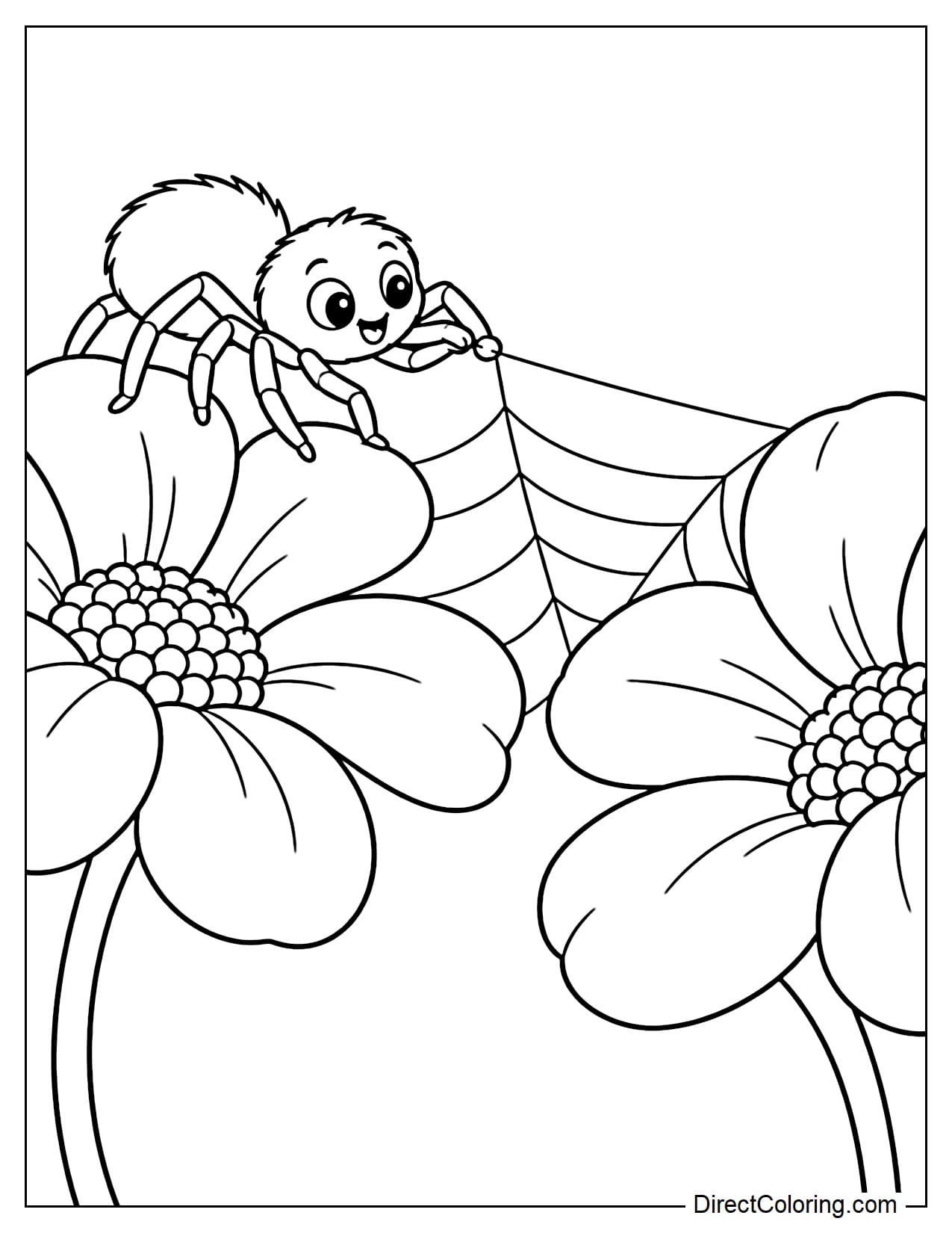 A spider stretches a strand of silk from one large flower to another while building its web.
