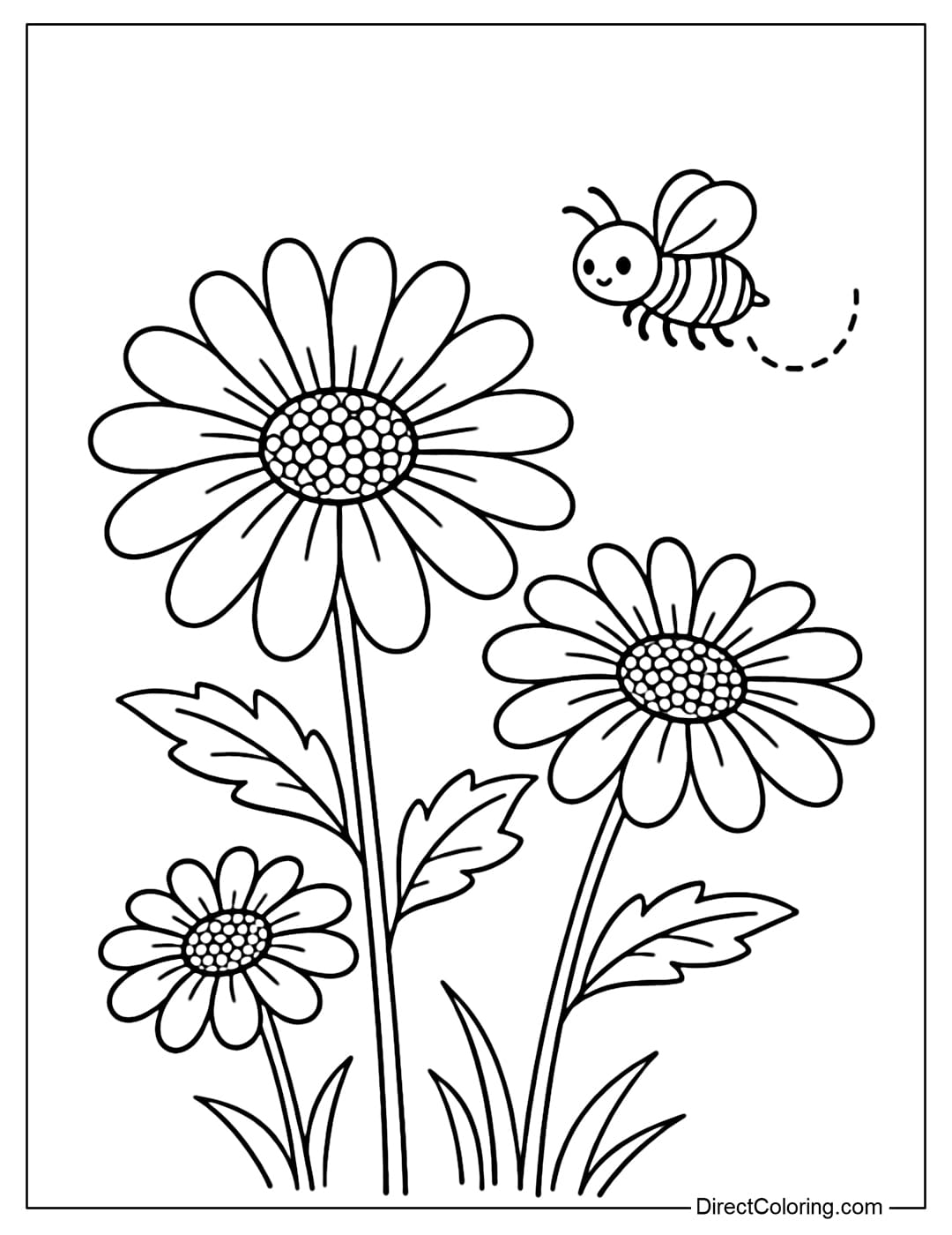 A coloring page of a daisy with long, rounded petals and a small bee flying beside it.