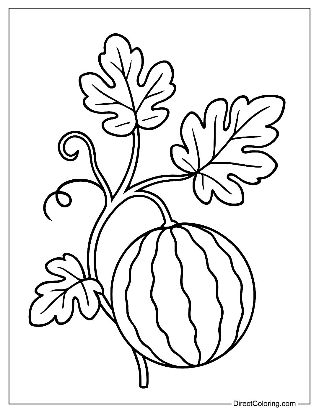 Coloring page of a watermelon vine with leaves, tendrils, and a small growing fruit.