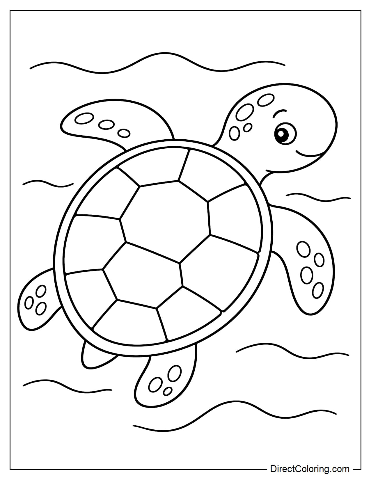A sea turtle with a large shell is swimming in the ocean water.