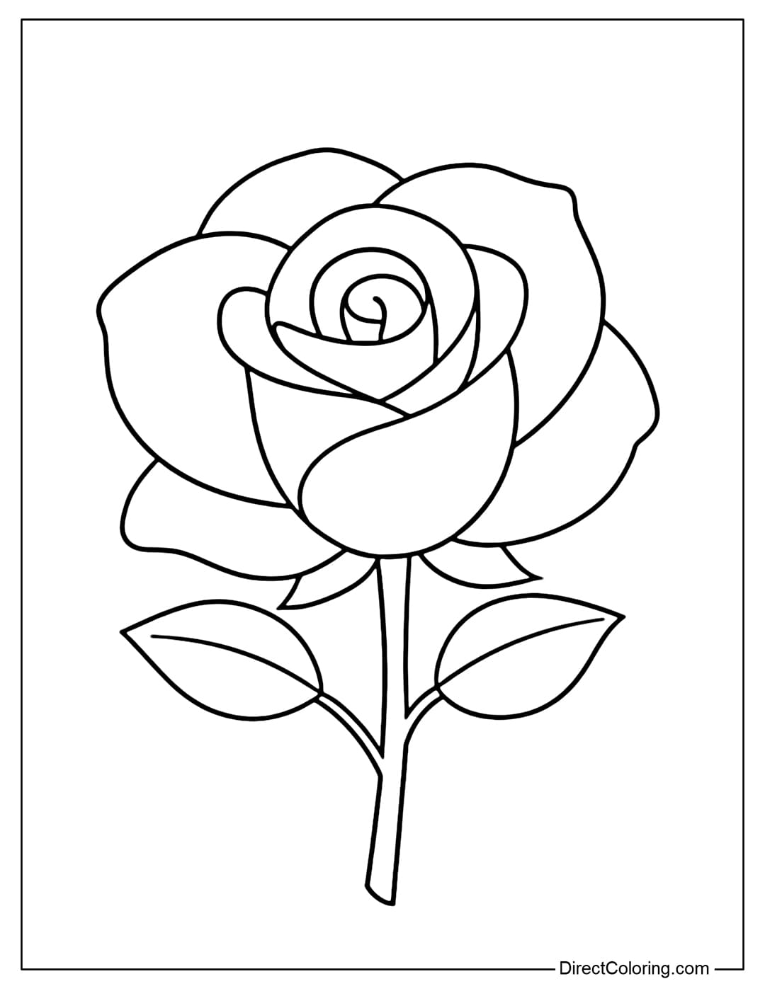 A simple rose coloring page with a frontal view, featuring soft, curled petals.