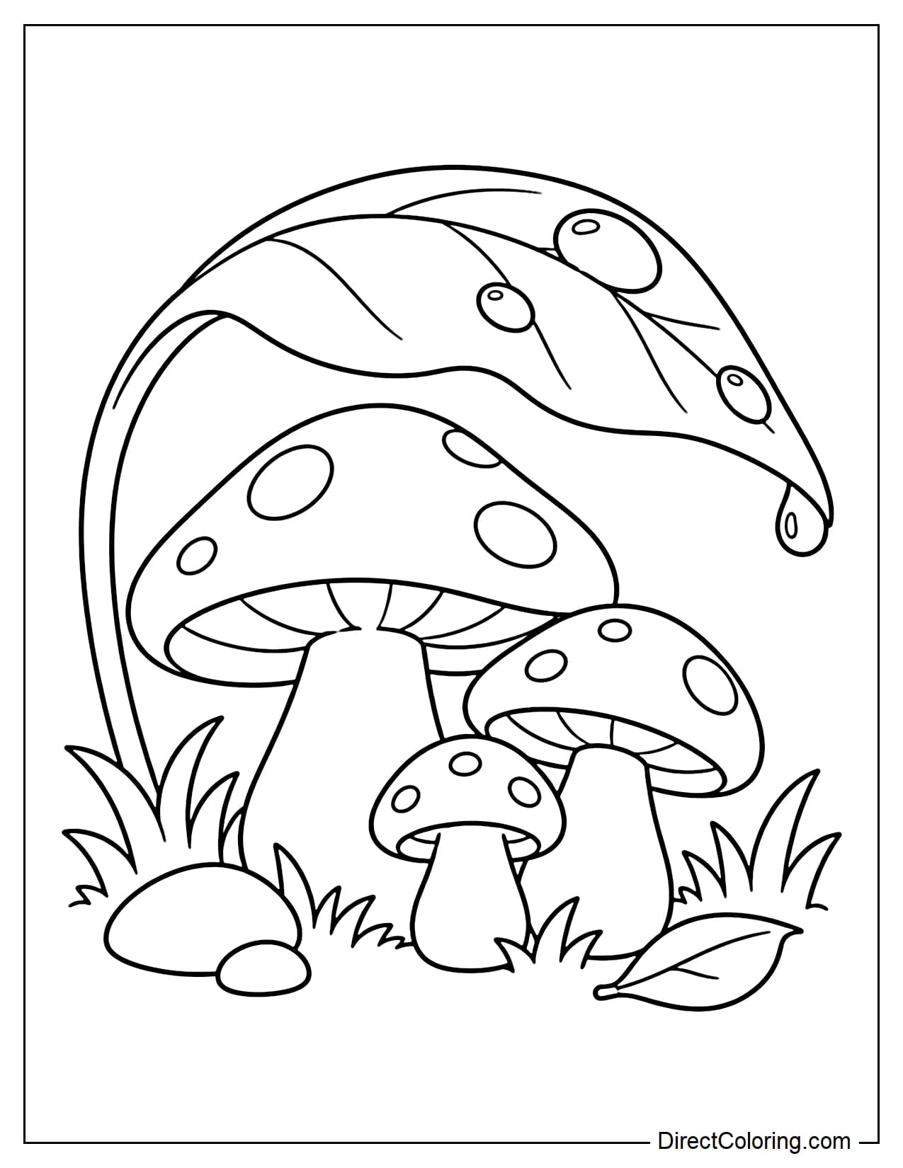 Three mushrooms of different sizes growing close together beneath a giant curved leaf that forms a natural canopy, with a few large dewdrops on the leaf and simple grass, small leaves, and round stones below.